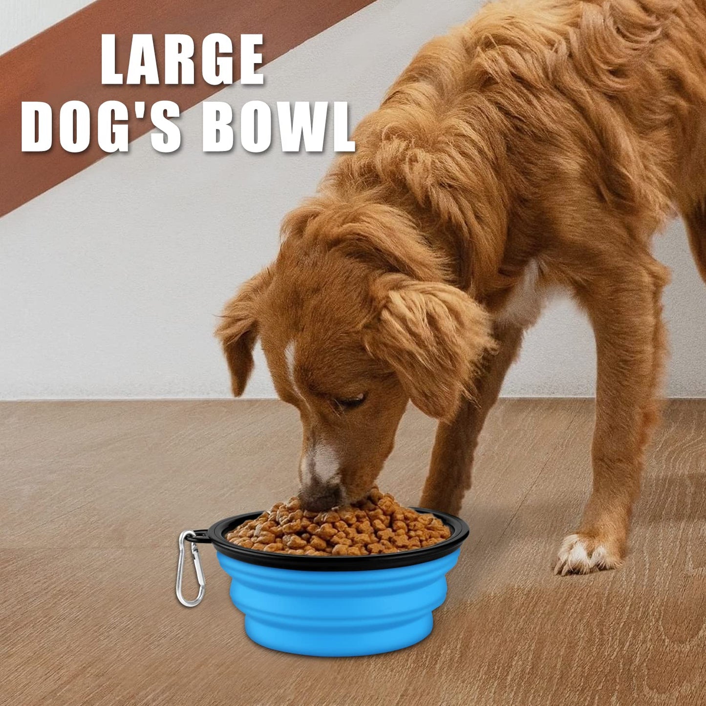 Collapsible Dog Bowls-2 Pack Large Size for Large/Medium Dogs, Pet Travel Water Bowl, Dogs Cat Portable Water Bowl, Dog Pet Feeding Watering Dish Outdoor Hiking Parking Traveling with 2 Carabiners