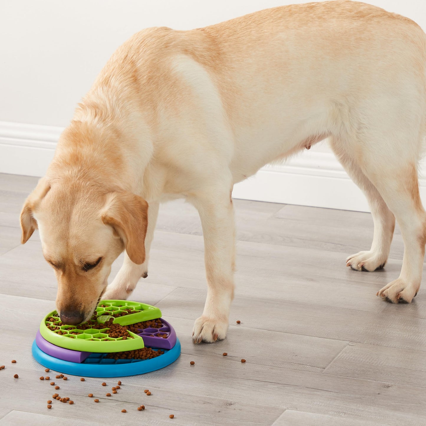 Outward Hound by Nina Ottosson Lickin' Layers Dog Puzzle Feeder, Level 2 Enrichment Dog Toy, Multicolored
