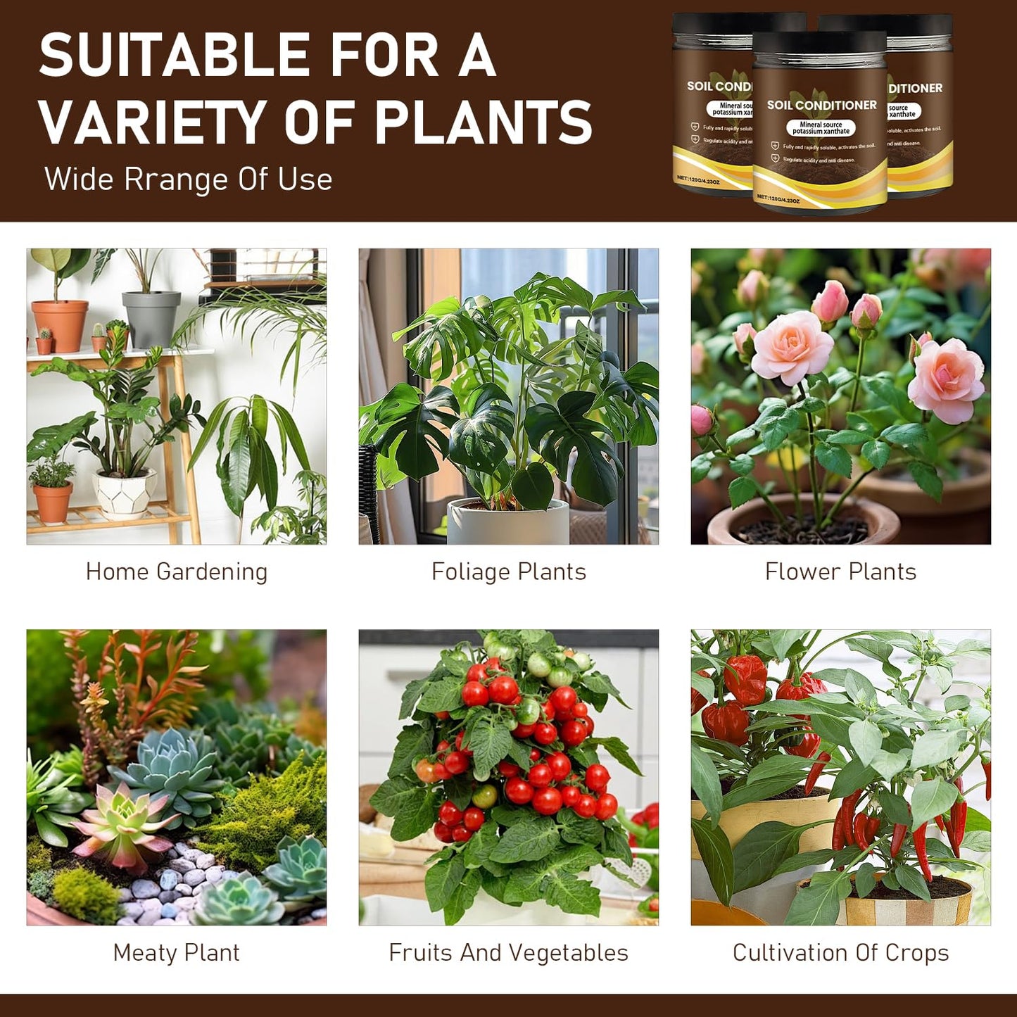 Skiennix Organic Soil Activators - Boost Plant Health & Root Growth | 120G (2 Pack)