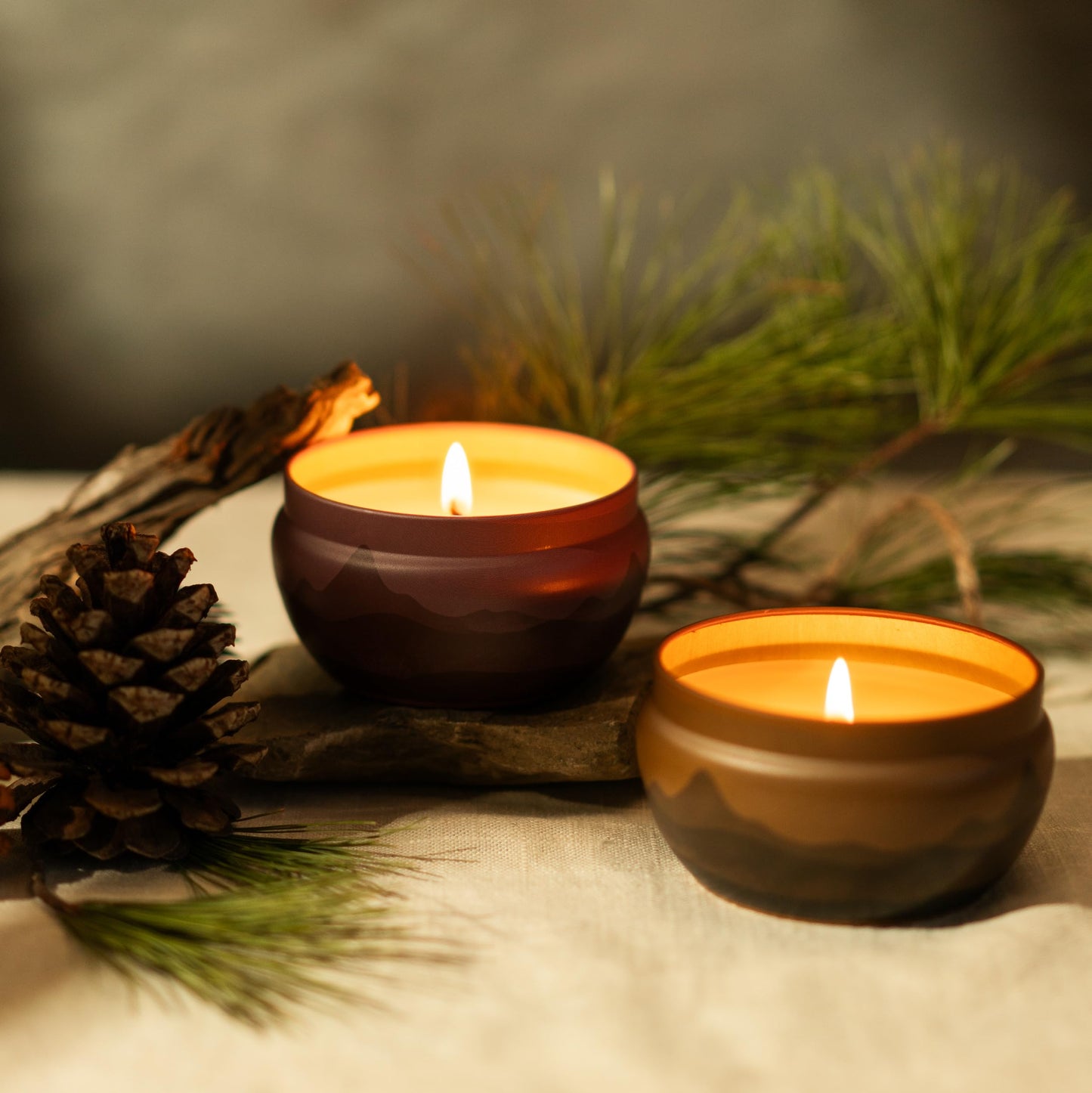 Bluecorn Aromática Scented Candle Tin, The Woodsy, Blue Spruce, Pine & Musk, Vegan Coconut Wax, Clean Burning & Long Lasting Christmas Tree Candle, Winter Home Decor, Gifts, Made in USA, 8 Oz