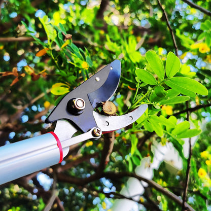 Prunrt 5.4-14.8 FT Tree Pruner Extendable 4 Sections, Telescopic Cut and Hold Trimmers Pole Saws Trimming Long Reach Pruning Shears Branch Cutter Clipper Bypass Lopper Fruit Picker