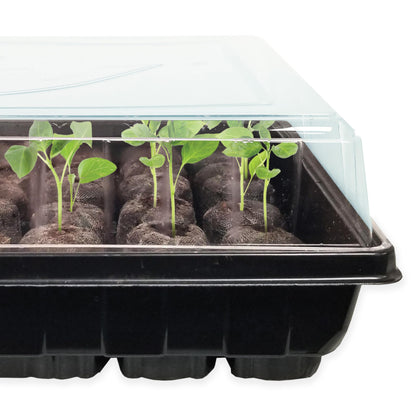 Ferry Morse Jiffy Seed Starting Greenhouse Tray Kit with 72 36mm Peat Pellets and Bonus SUPERthrive Sample + Plant Markers, 2 Pack, 144 Pellets Total