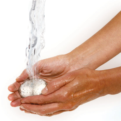 Norpro Onion Holder/Odor remover