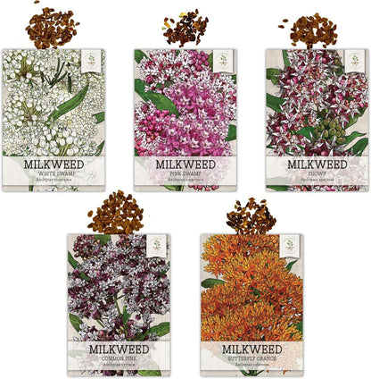 Seed Needs Milkweed Seeds - Attract Monarch Butterflies with Pink, Orange & White Variety Pack (5 Packs)