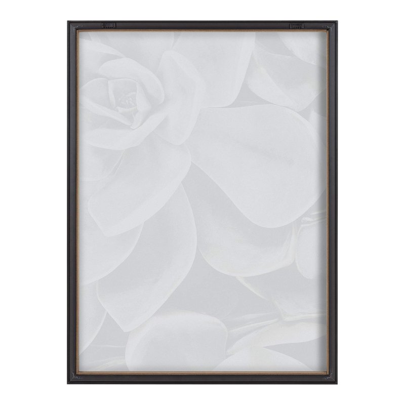 Kate and Laurel Blake Botanical Succulent Plants 2 Framed Printed Glass Wall Art by The Creative Bunch Studio, 18x24 Gray, Succulent Art for Wall