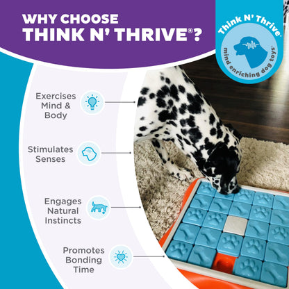Nina Ottosson by Outward Hound Challenge Slider Interactive Treat Puzzle Dog Toy, Advanced