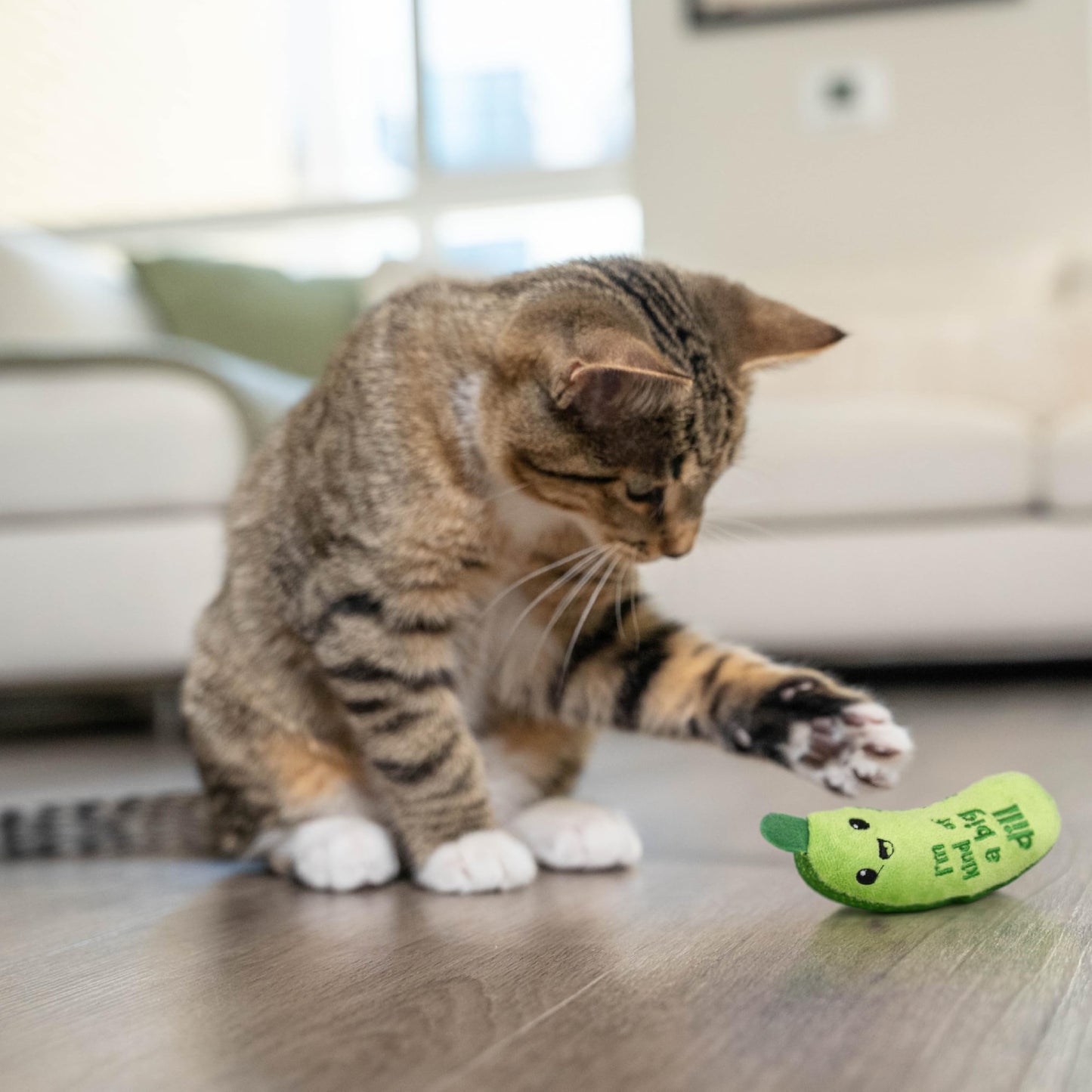 Catstages Crunchy Pickle Kicker Dental Catnip Cat Toy