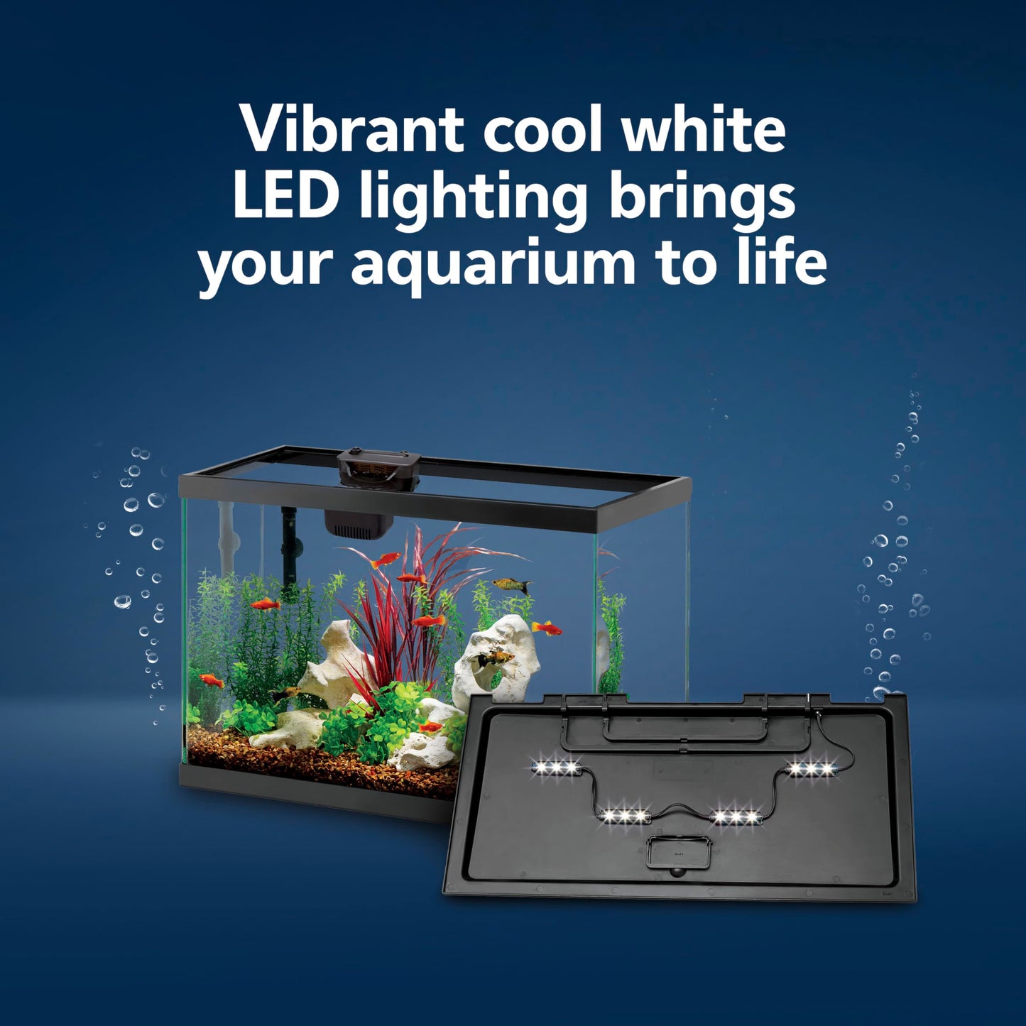 Aqueon Aquarium Starter Kit with Smart Clean Filtration and LED Lighting, Freshwater and Saltwater Fish, 20-Gallon
