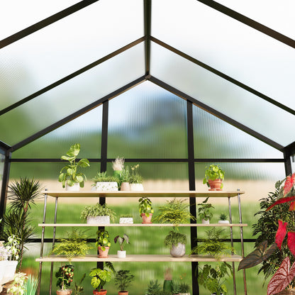 Greenhouse, 6x8 Ft Outdoor Greenhouses, Greenhouse Kit, Portablee Greenhouses with Ground Nails and Vent Windows, Sliding Lockable Door, Polycarbonate Green House for Outside Garden Backyard, Black