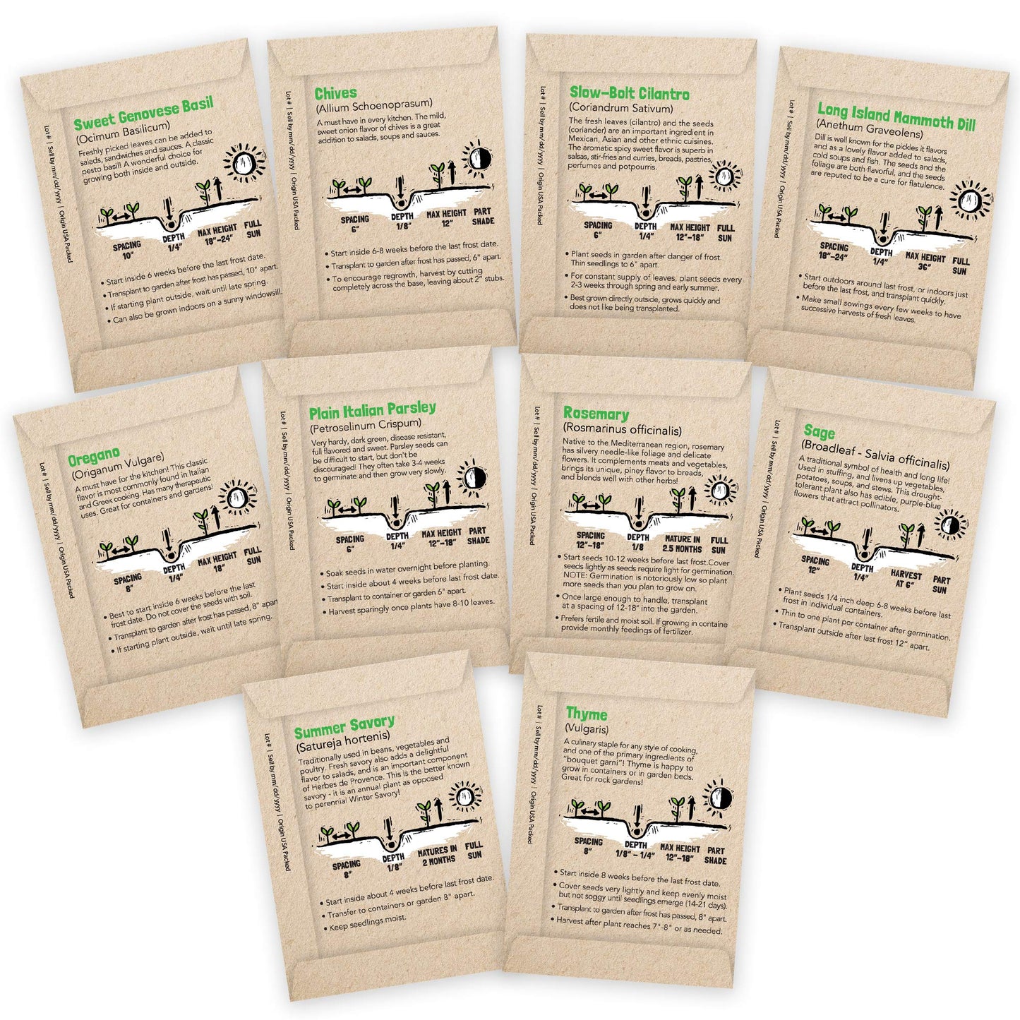 Culinary Herb Seeds Variety Pack: 10 Spice Herbs, Hydroponic Garden Indoors, Heirloom Planting Basil, Parsley, Sage, Thyme, Rosemary, Cilantro, Chives Dill Oregano, Summer Savory by Sustainable Sprout