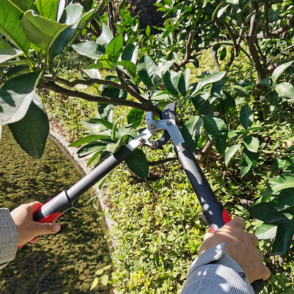 YRTSH Lopper Heavy Duty Branch Cutter Tree Clippers with Compound Action, Chops Thick Branch Ease, Garden Loppers Pruning, 18 Inch Tree Trimmer with 1.6” Clean Cut Capacity (18 Inch)