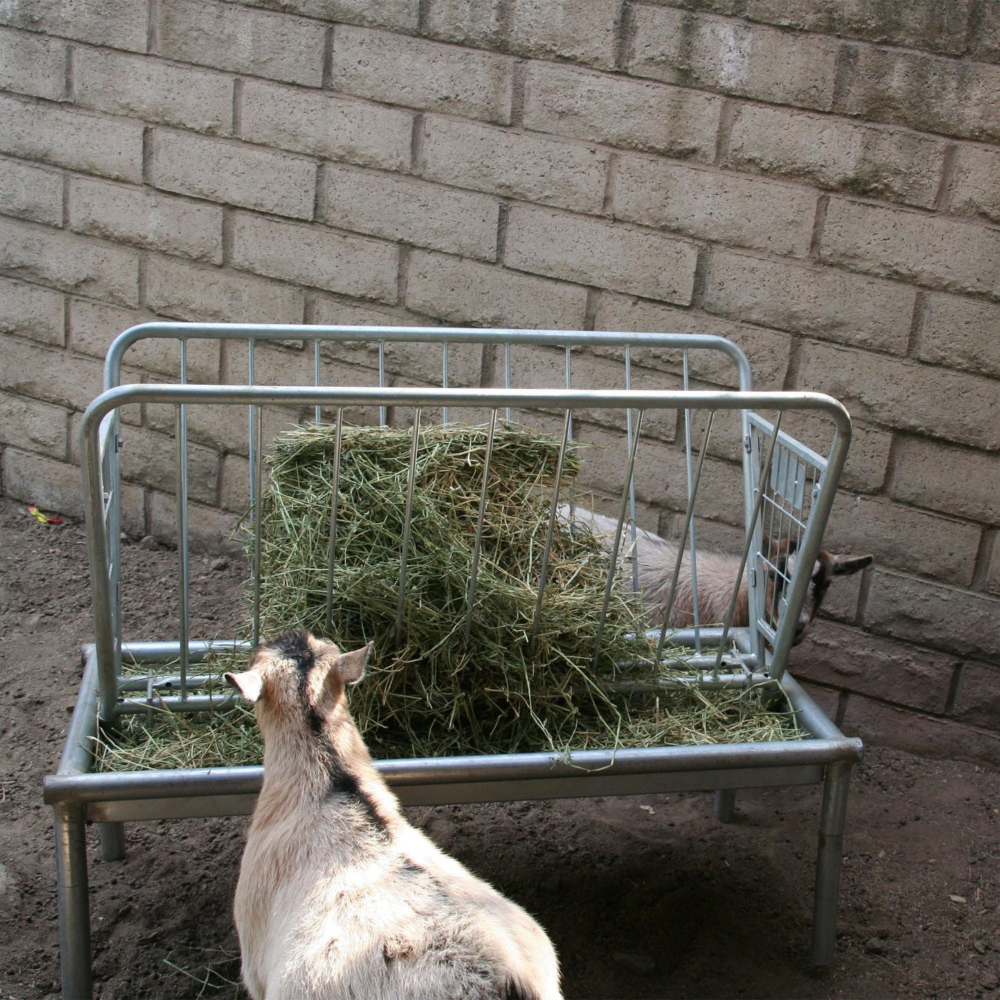 Rugged Ranch Products 4 Foot Long Outdoor Heavy Duty Mini Galvanized Steel Pasture Hay Feeder for Goats, Sheep, and Miniature Horses, Silver