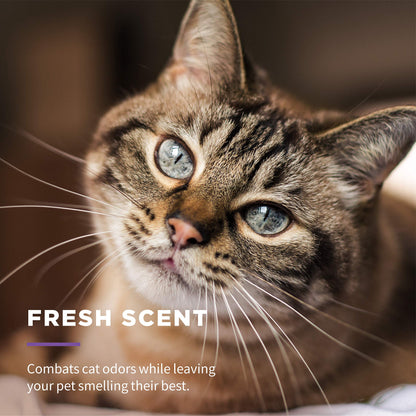 Wet Ones for Pets Freshening Multipurpose Wipes for Cats with Aloe Vera, Fresh Scent - Easy to Use Cat Cleaning Wipes for Pet Grooming in Canister, 50 Count