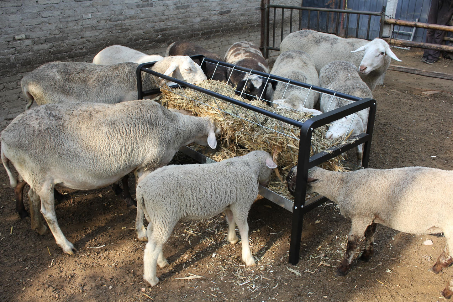 homcare Pasture Hay Feeder for Goats, Sheep, Miniature Horses and Small Livestock,5 Feet Long, Black