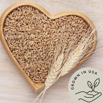 Be Still Farms Einkorn Farro Grain Organic (4.8 lb) - Einkorn Wheat Berries Bulk Whole Ancient Grains - Ideal for Soup, Flour, Bread - High in Fiber | USA Grown | USDA Certified | Vegan | Non-GMO