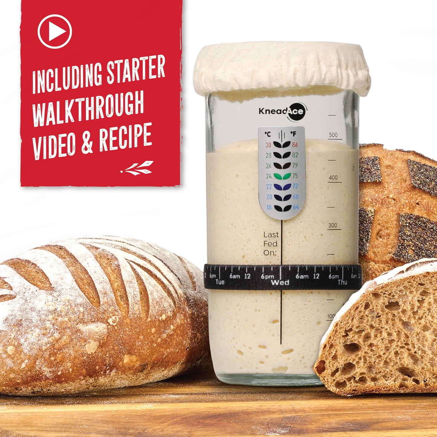 KneadAce Sourdough Starter Jar With Date Marked Feeding Band, Thermometer, Sourdough Jar Scraper, Sourdough Container Sewn Cloth Cover & Metal Lid, Sourdough Starter Kit
