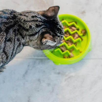 Catstages Kitty Slow Feeder Cat Bowl, Green