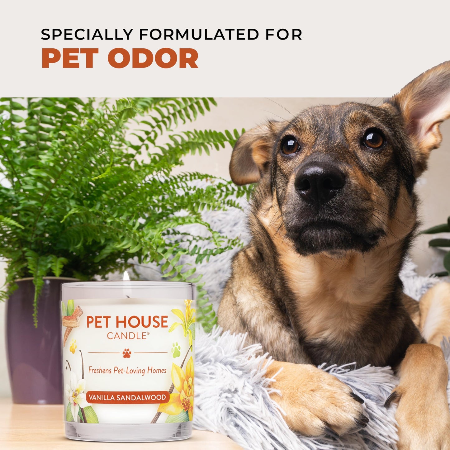 One Fur All Pet House Candle Plant-Based/Soy - Clean Burning Scented, Long Lasting Pet Odor Candle for Home - Vanilla Sandalwood