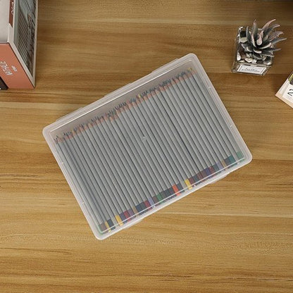 BTSKY Clear Plastic Storage Box - Versatile Craft Organizer with Flap Lid | Medium Size, 2 Pack