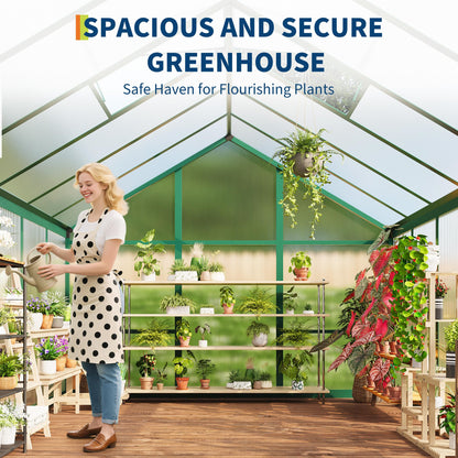 IDEALHOUSE 6×10 FT Greenhouse, Large Walk in Greenhouses for Outdoors and Garden Planting, Polycarbonate Greenhouse with Enhanced Aluminum Frame, Green Houses with Quick Setup Structure and Roof Vent