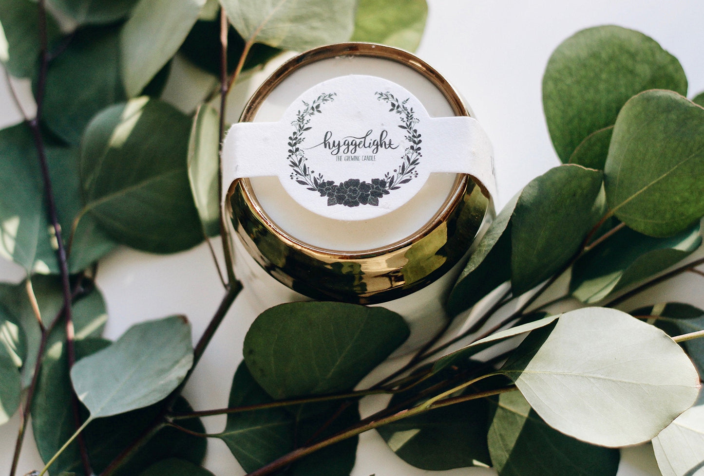 Hyggelight - The Growing Candle, Sandalwood & Vanilla Scented, 10oz Ceramic Pot, Aromatherapy Candles for Home, 100% Soy, Clara