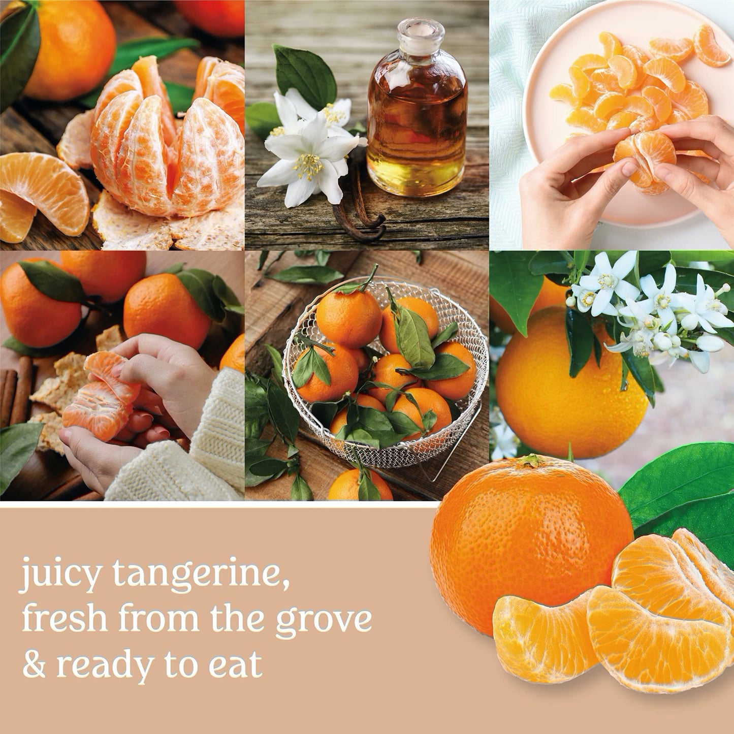 Yankee Candle Tangerine & Vanilla Scented Signature 13oz Medium Jar 2-Wick Candle Over 35 Hours of Burn Time