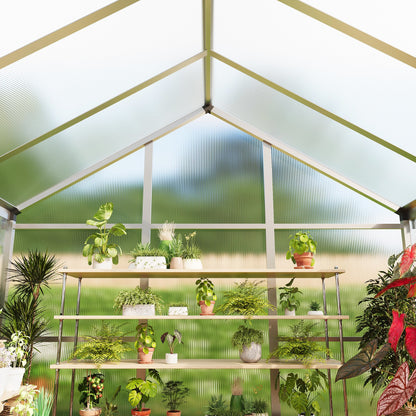 6×8 FT Greenhouse, Large Walk in Greenhouses for Outdoors and Garden Planting, Polycarbonate Greenhouse with Enhanced Aluminum Frame, Green Houses with Quick Setup Structure and Roof Vent, Silver