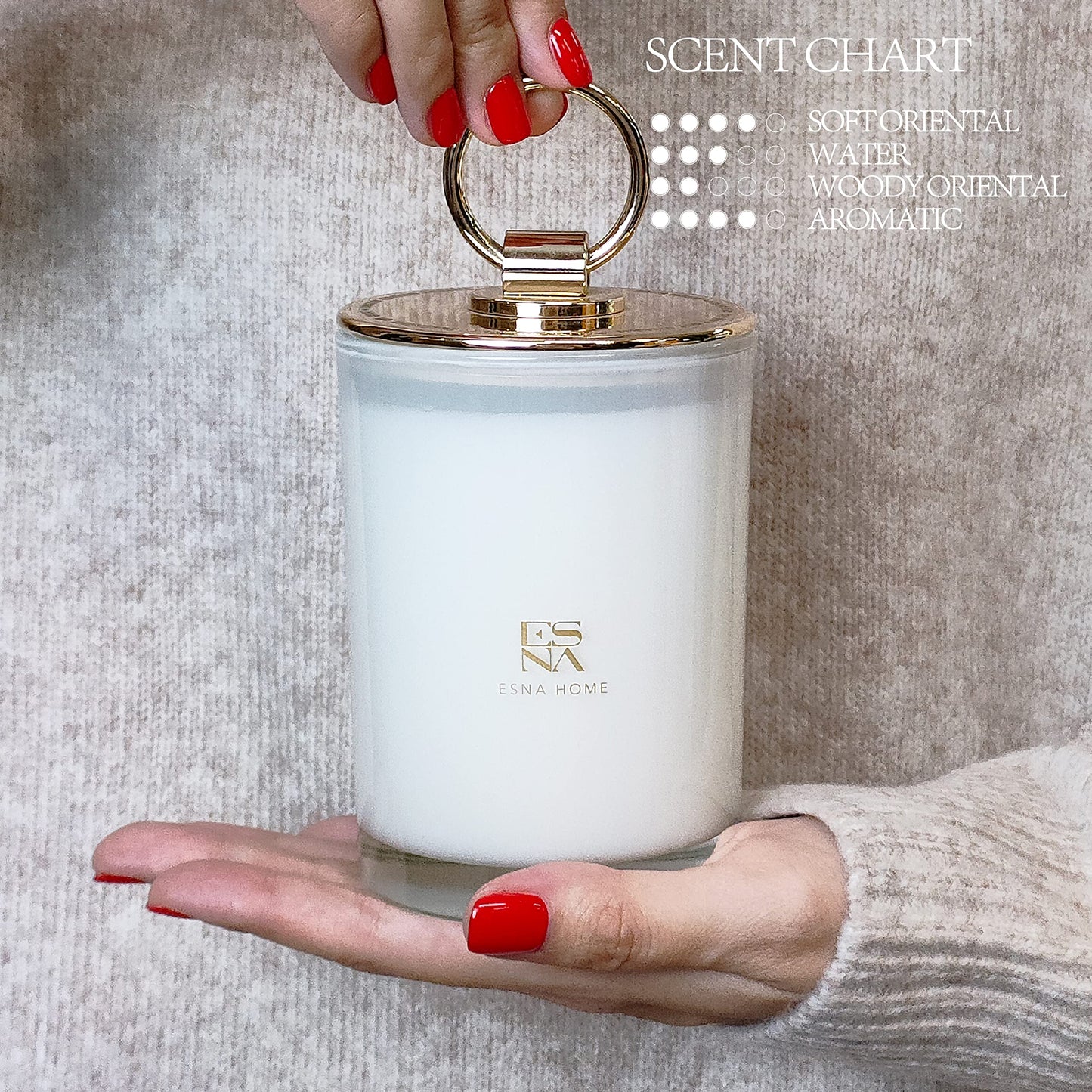 Luxury Scented Candle Aromatherapy Candles for Home Scented 100% Natural Soy Candles Hand Poured Vegan Wax Holiday Candles Gift for Christmas Home Decor Gifts for Women 8.8oz Long Lasting Slow Burn