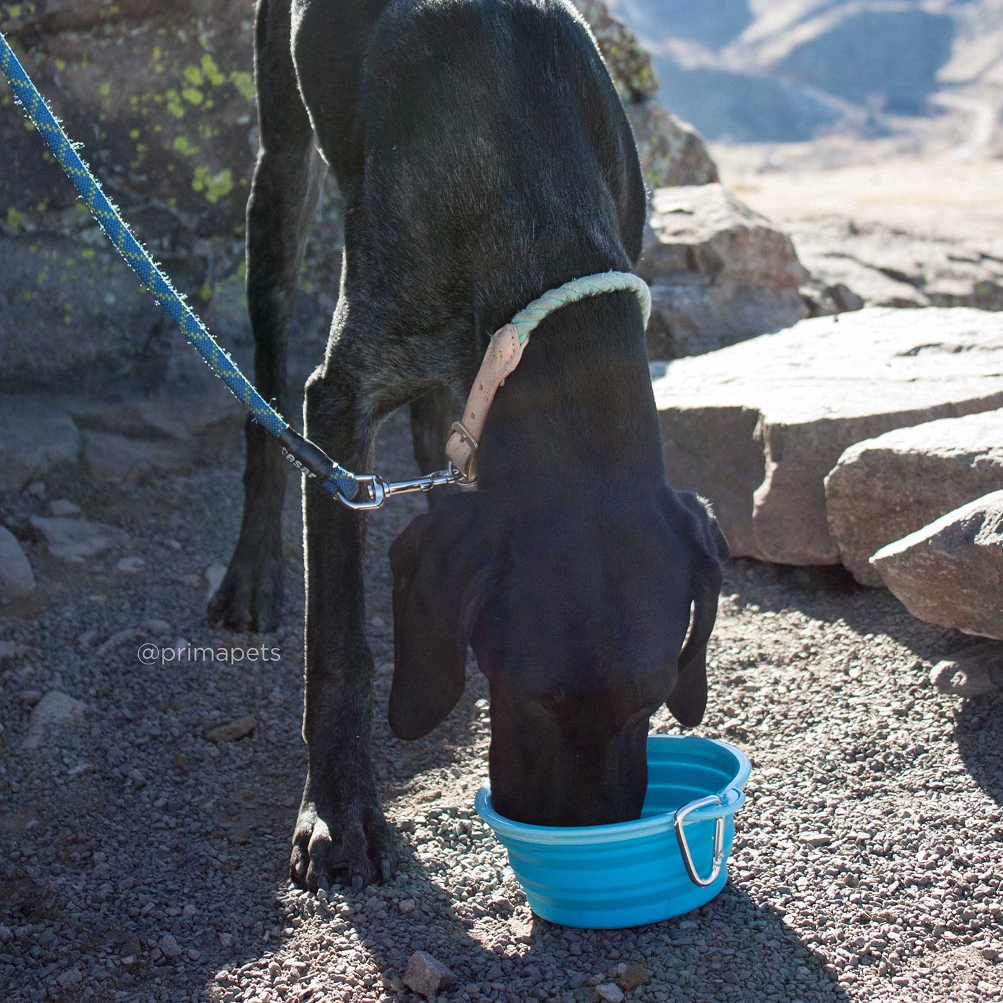 Sale Collapsible Silicone Water Travel Bowl with Clip for Dog and Cat, Portable and Durable Pop-up Feeder for Convenient On-The-go Feeding Size: Large (5 Cups) Grey